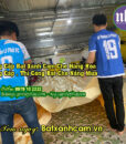 bat-che-hang-hoa-cong-trinh1