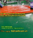 bat-che-nang-mua-xanh-cam3