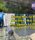 bat-xanh-cam-vang18