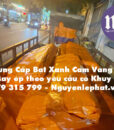 bat-xanh-cam-vang28